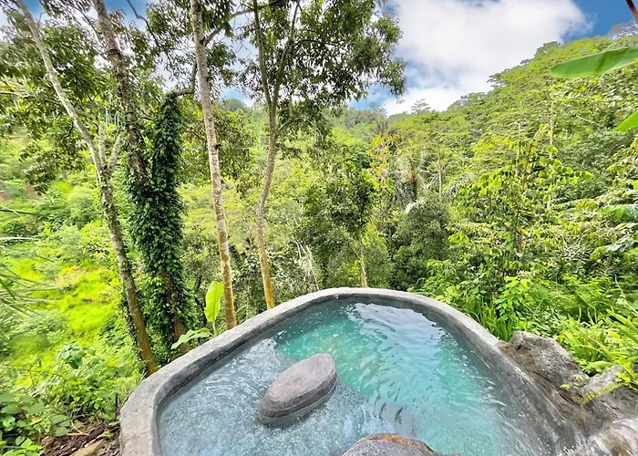 Royal Kemala - Jungle View With Private Pool Villa *