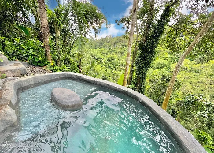 Villa Royal Kemala - Jungle View With Private Pool *