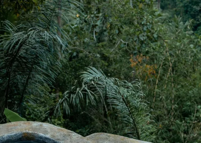 Royal Kemala - Jungle View With Private Pool *